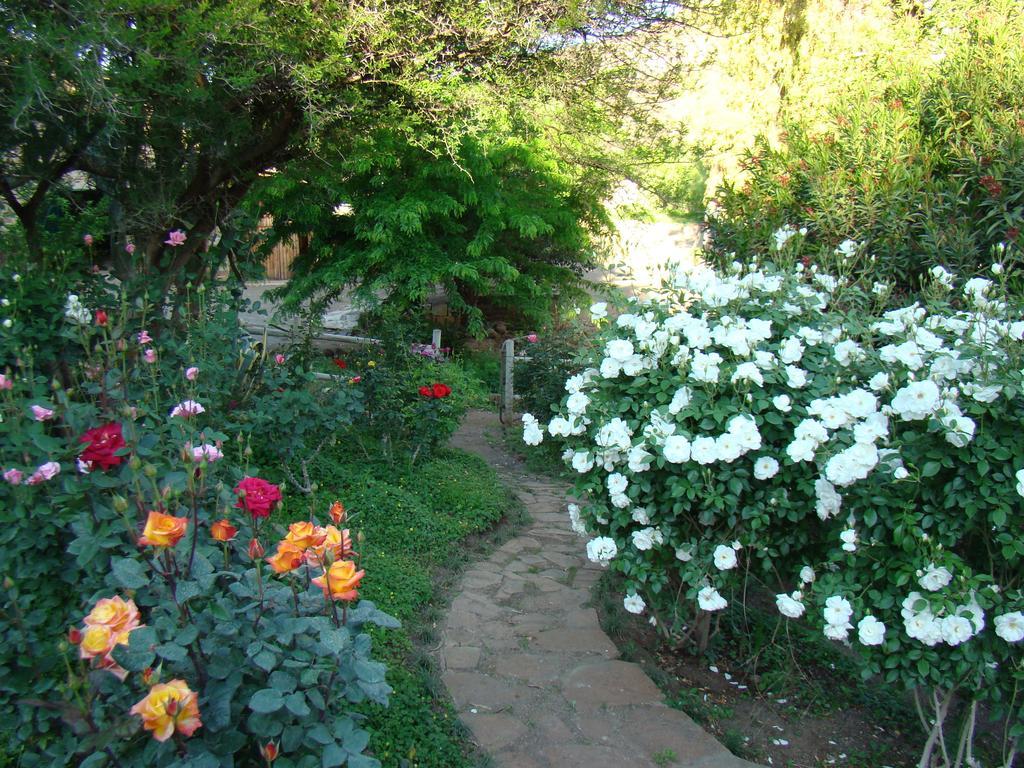 Waterval Farmstay Graaff-Reinet Exterior foto