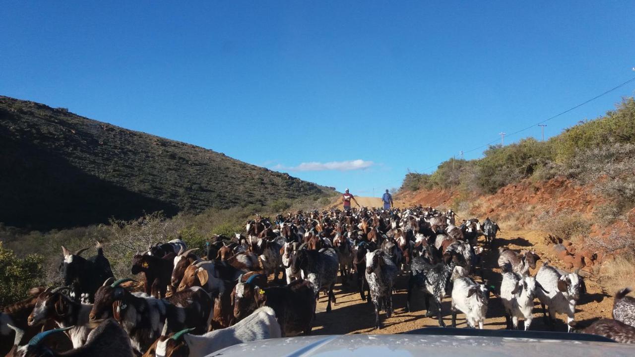 Waterval Farmstay Graaff-Reinet Exterior foto